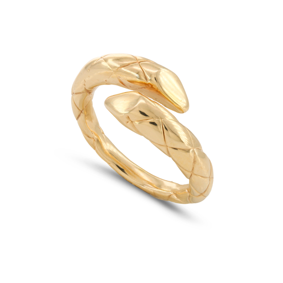 Δαχτυλίδι Σχέδιο Φίδι