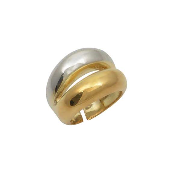 Ασημένιο Δαχτυλίδι Δίχρωμο